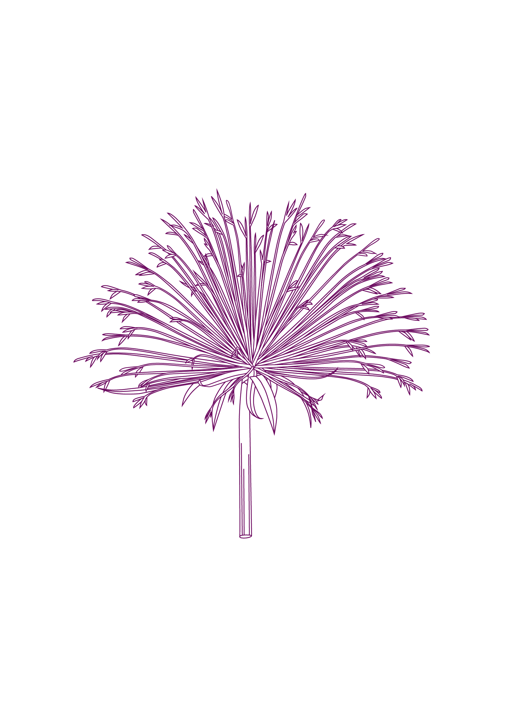 fleur